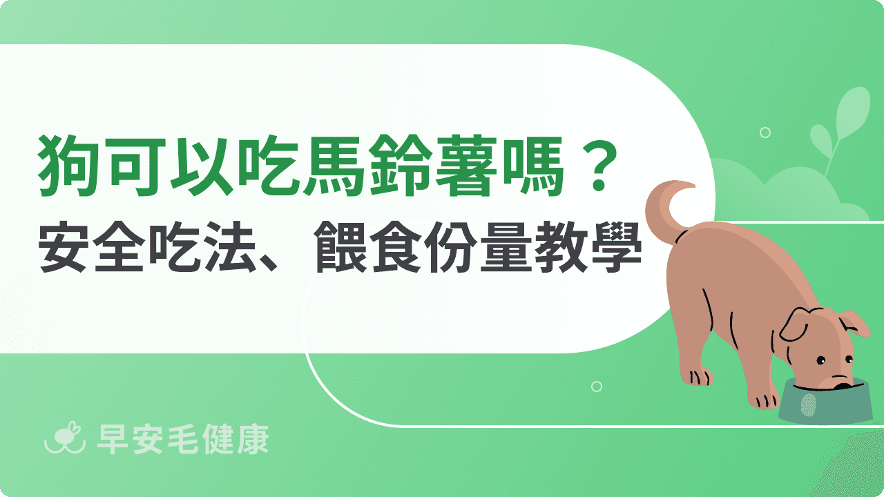 狗狗可以吃馬鈴薯嗎？安全吃法、餵食份量與注意事項