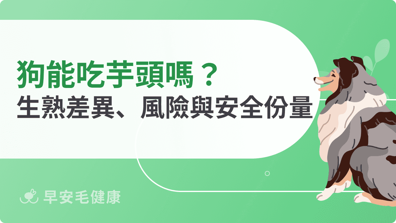 狗可以吃芋頭嗎？生熟差異、餵食風險與安全份量指南