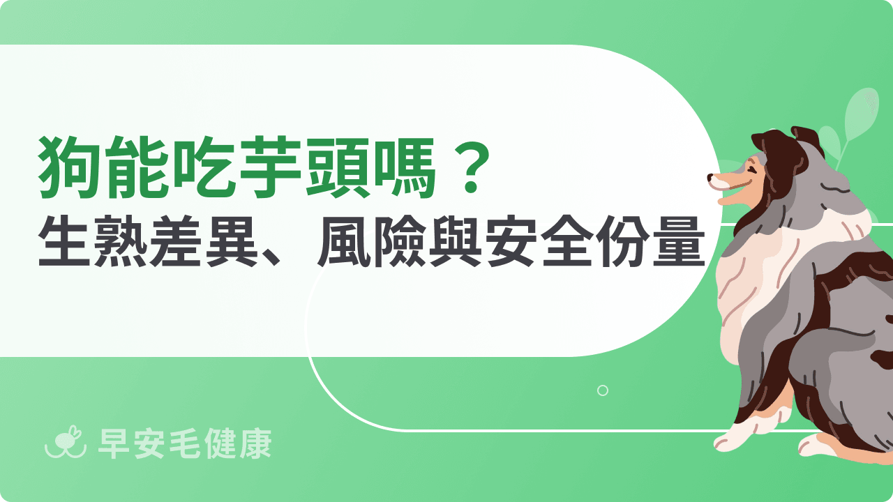 狗可以吃芋頭嗎？生熟差異、餵食風險與安全份量指南