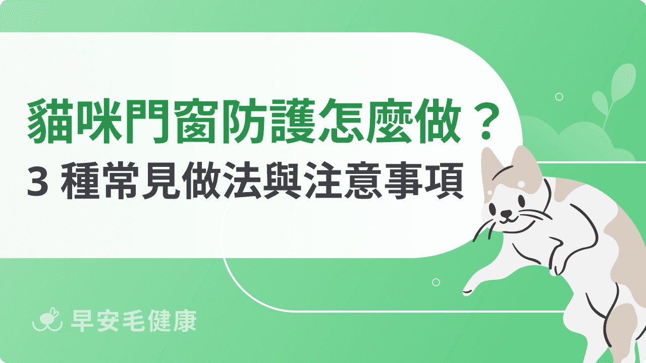 貓咪門窗防護怎麼做？3 種常見做法與注意事項整理