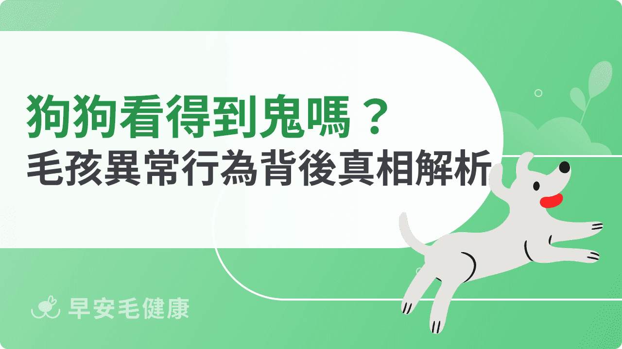 狗狗看得到鬼嗎？毛孩異常行為背後真相解析