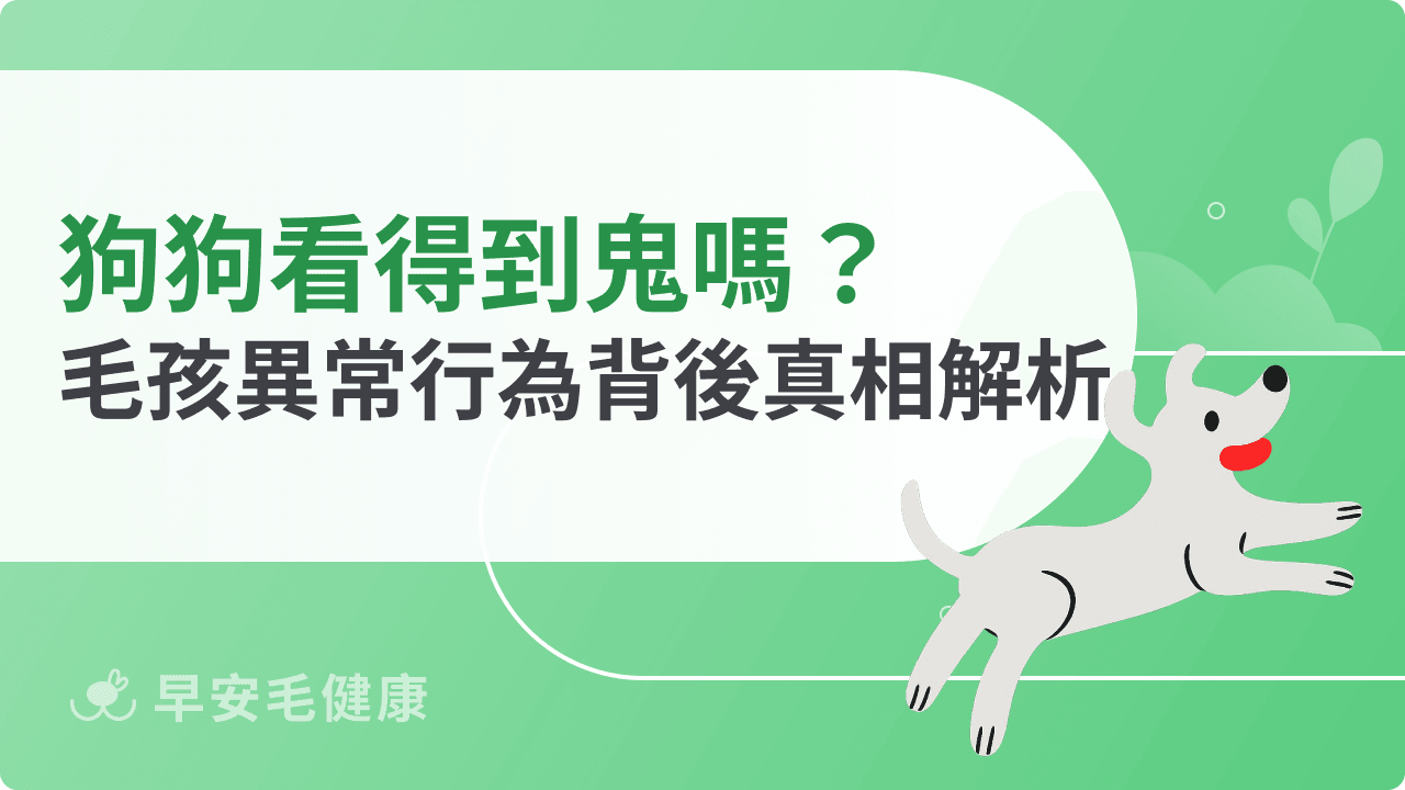 狗狗看得到鬼嗎？毛孩異常行為背後真相解析
