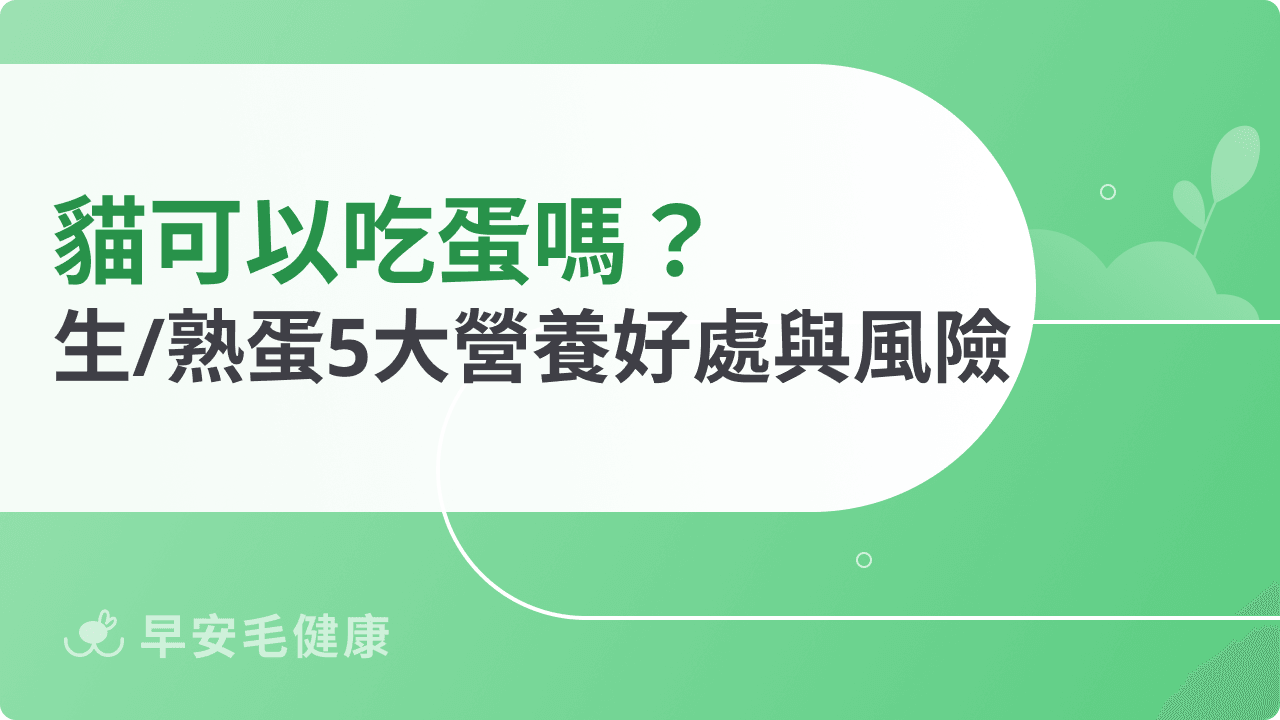 可以吃蛋嗎？生蛋熟蛋差在哪？一次搞懂營養好處和飲食風險