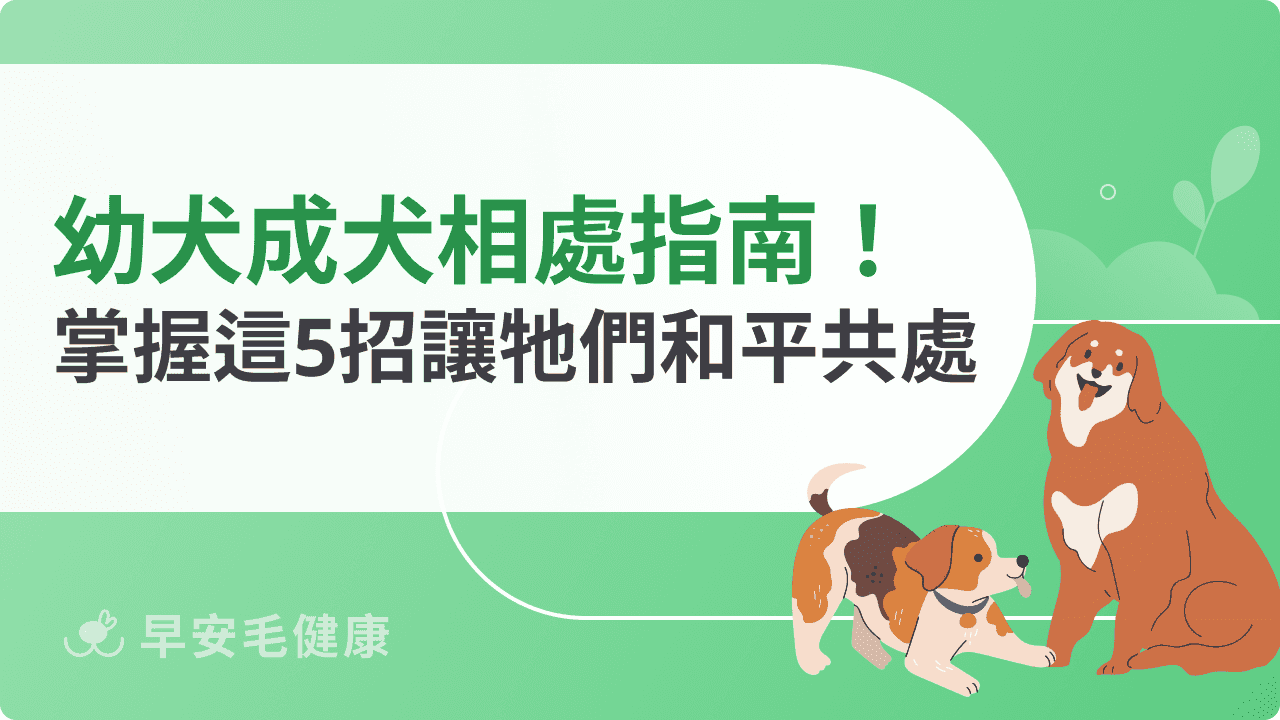幼犬成犬相處指南：掌握這5招讓牠們和平共處