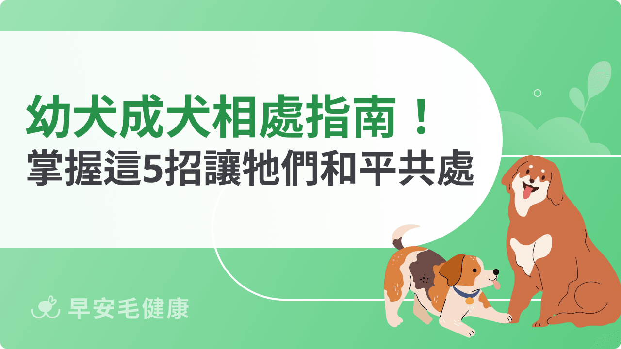幼犬成犬相處指南：掌握這5招讓牠們和平共處