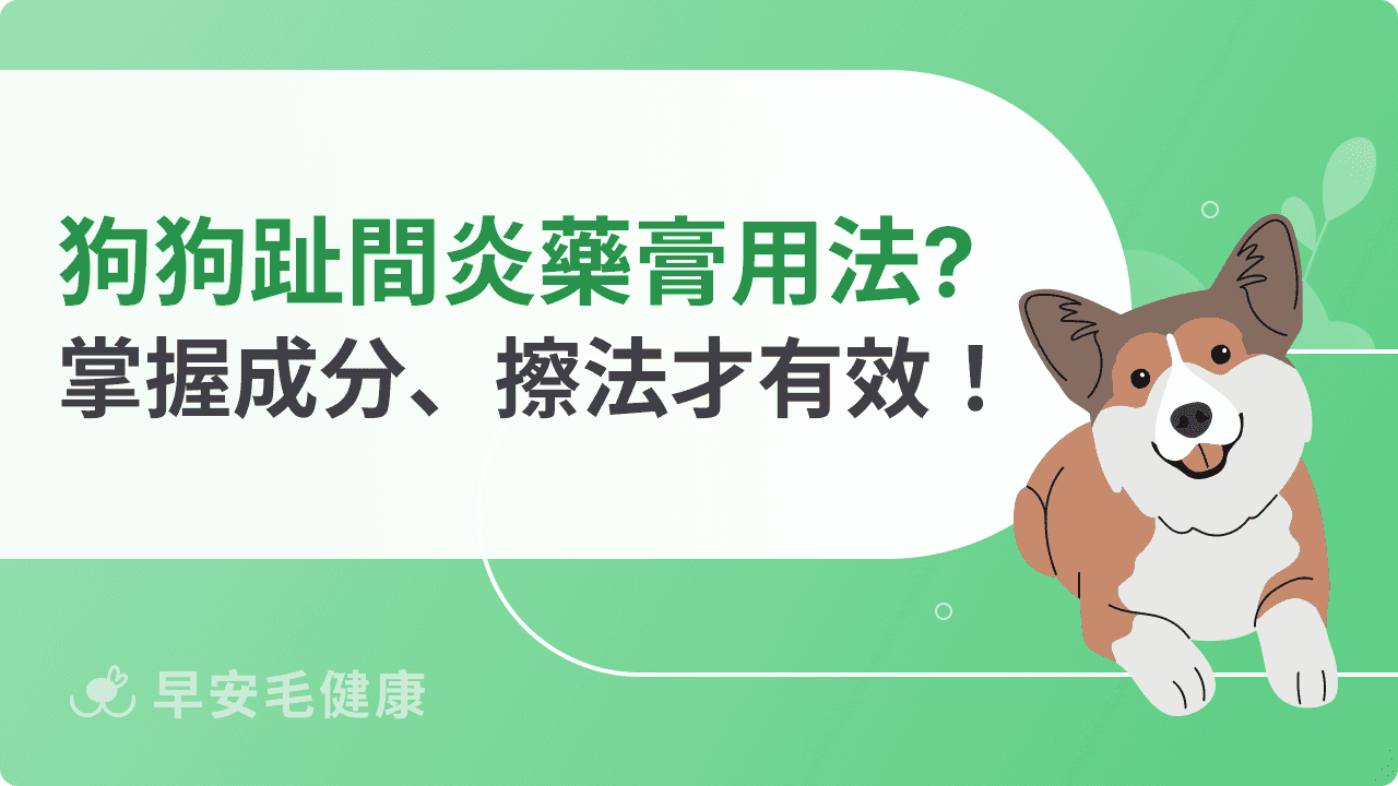 狗狗趾間炎藥膏有用嗎？了解常見成分、正確擦法才有效！