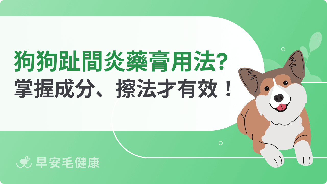 狗狗趾間炎藥膏有用嗎？了解常見成分、正確擦法才有效！