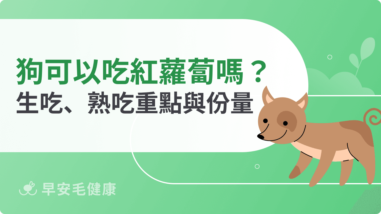 狗可以吃紅蘿蔔嗎?生吃熟吃差在哪?飲食重點和份量建議解析