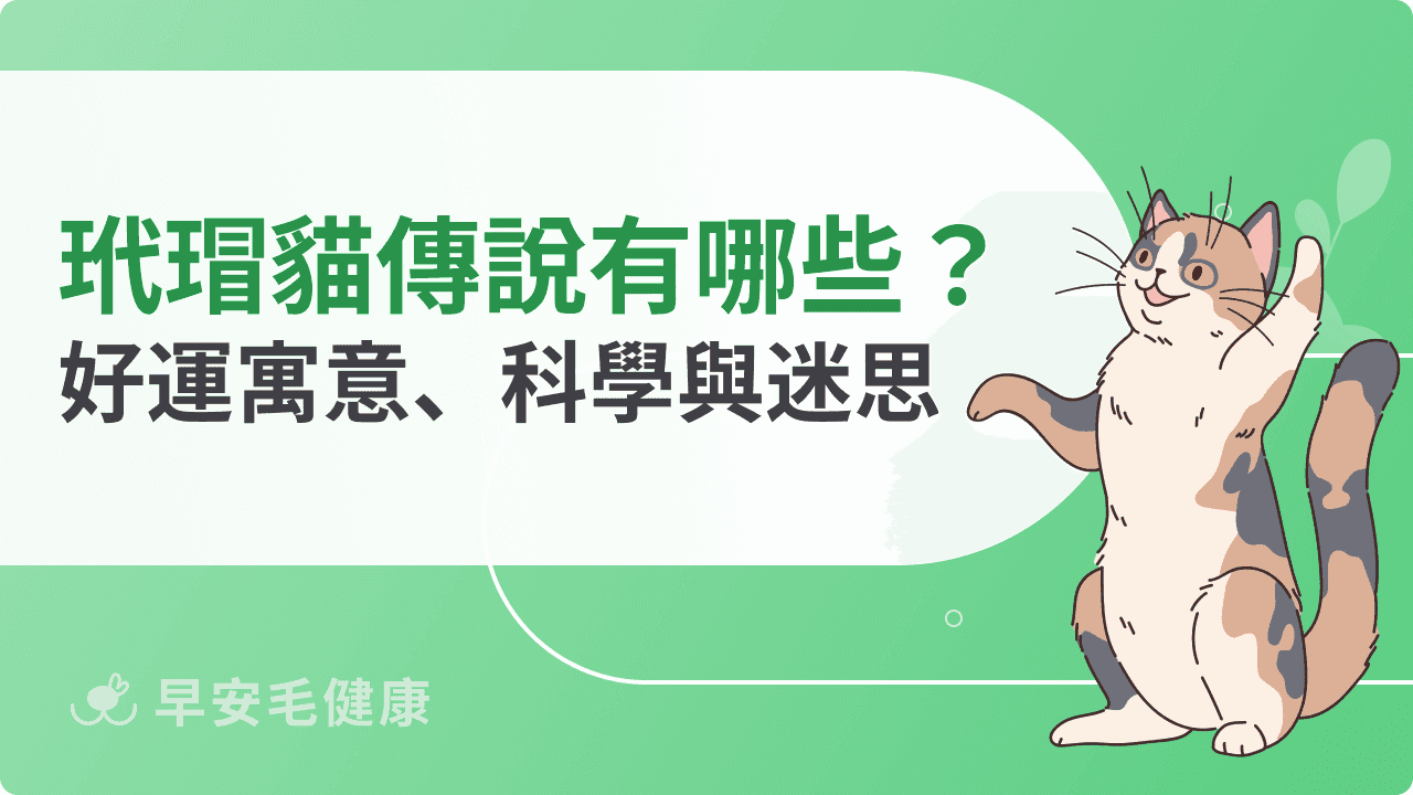 玳瑁貓傳說有哪些？好運寓意、科學根據與常見誤解
