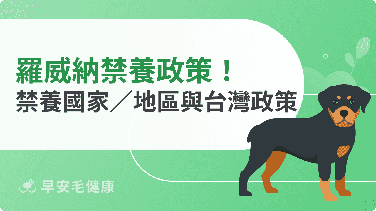 羅威納禁養是真的嗎？法律規範、飼養限制與最新政策整理