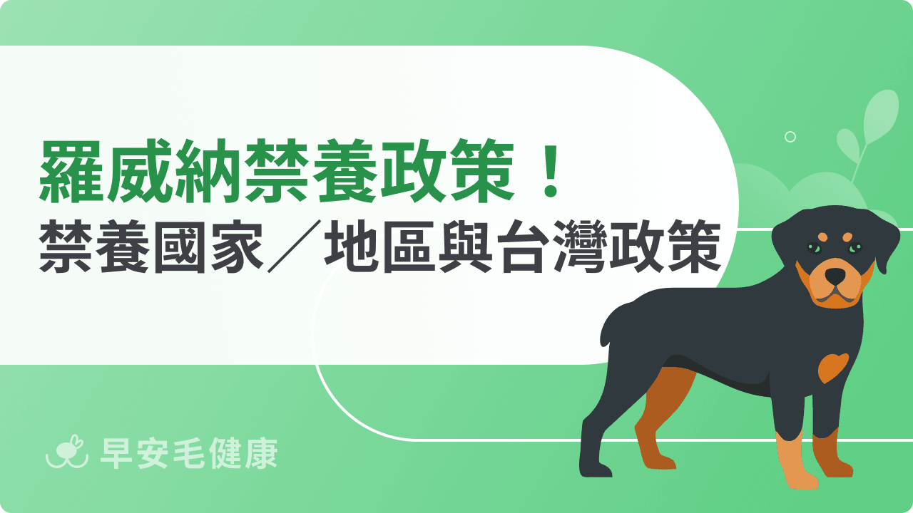 羅威納禁養是真的嗎？法律規範、飼養限制與最新政策整理