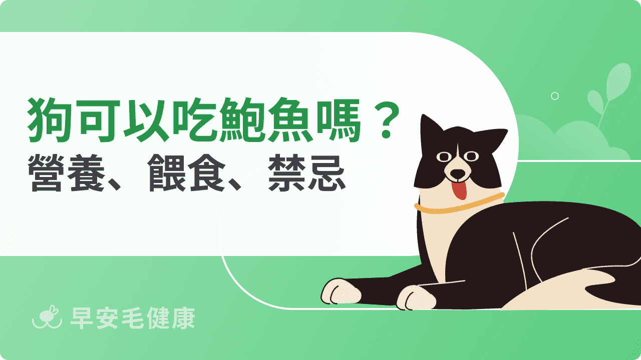 狗可以吃鮑魚嗎？營養價值、餵食方式與注意事項