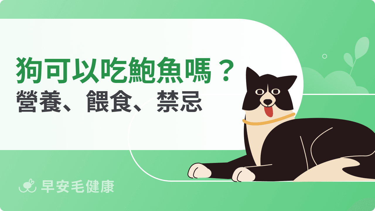 狗可以吃鮑魚嗎？營養價值、餵食方式與注意事項