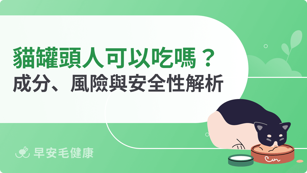 貓罐頭人可以吃嗎？成分、風險與安全性解析
