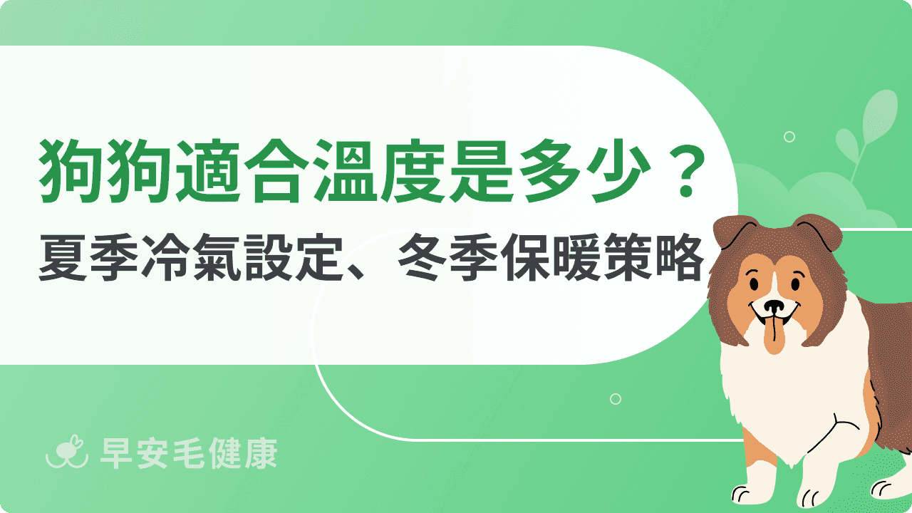 狗狗適合的溫度是多少？夏季冷氣設定、冬季保暖策略