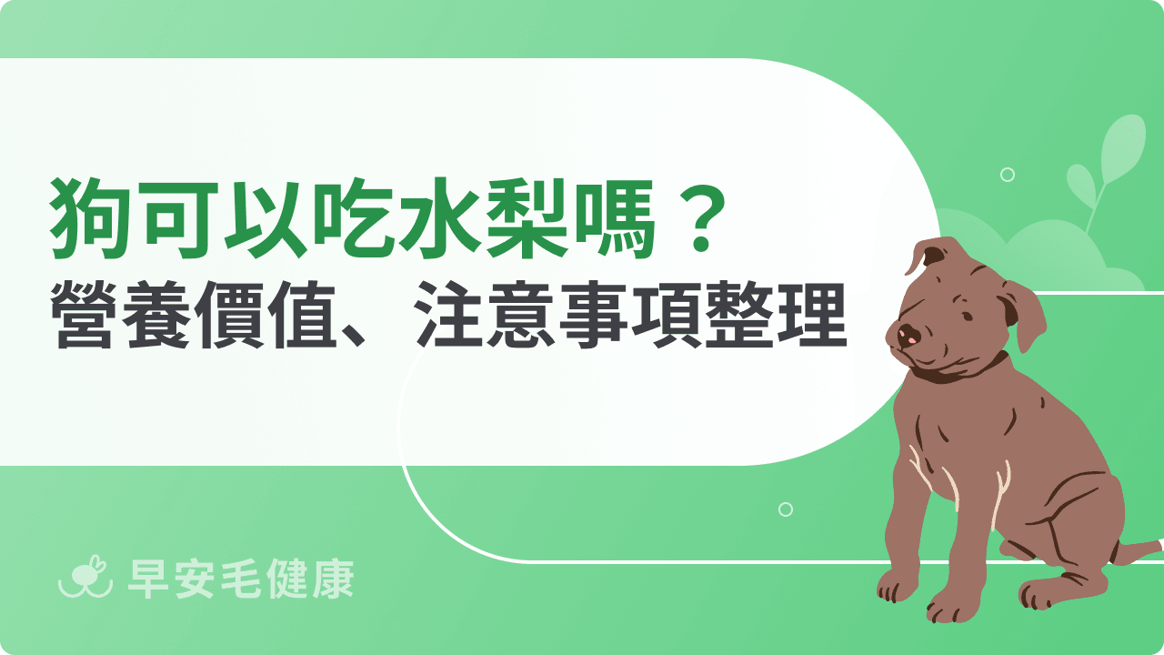 狗可以吃水梨嗎？營養價值＋注意事項一次看