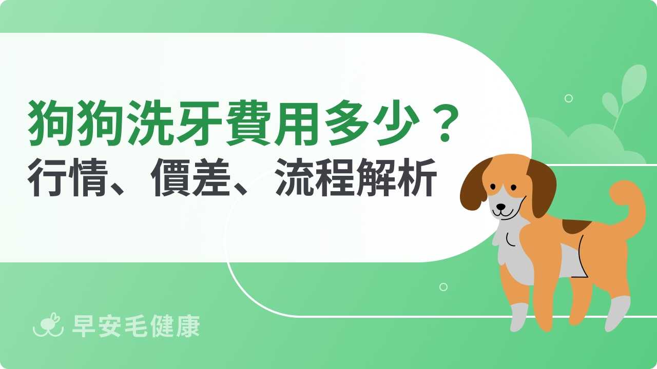 狗狗洗牙費用多少才合理？獸醫行情、價格差異、執行流程這樣評估