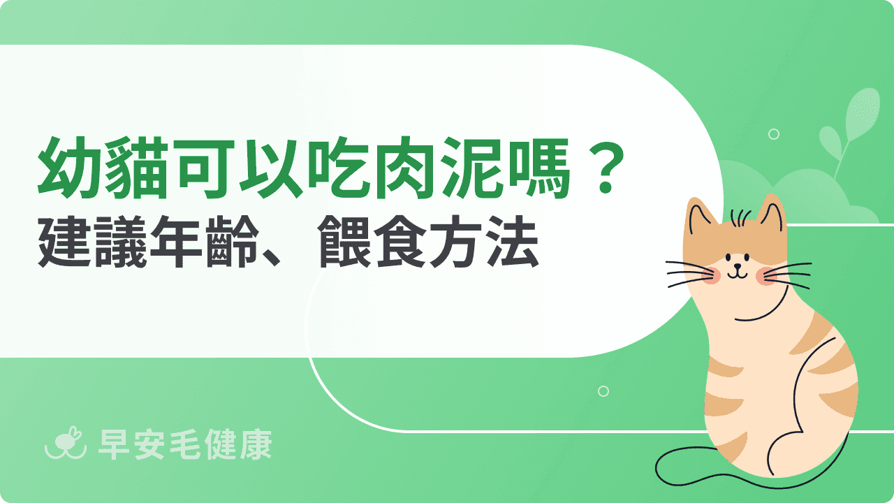 幼貓可以吃肉泥嗎？建議年齡、營養價值與安全餵食方法