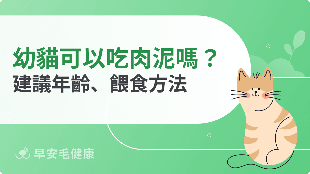 幼貓可以吃肉泥嗎？建議年齡、營養價值與安全餵食方法