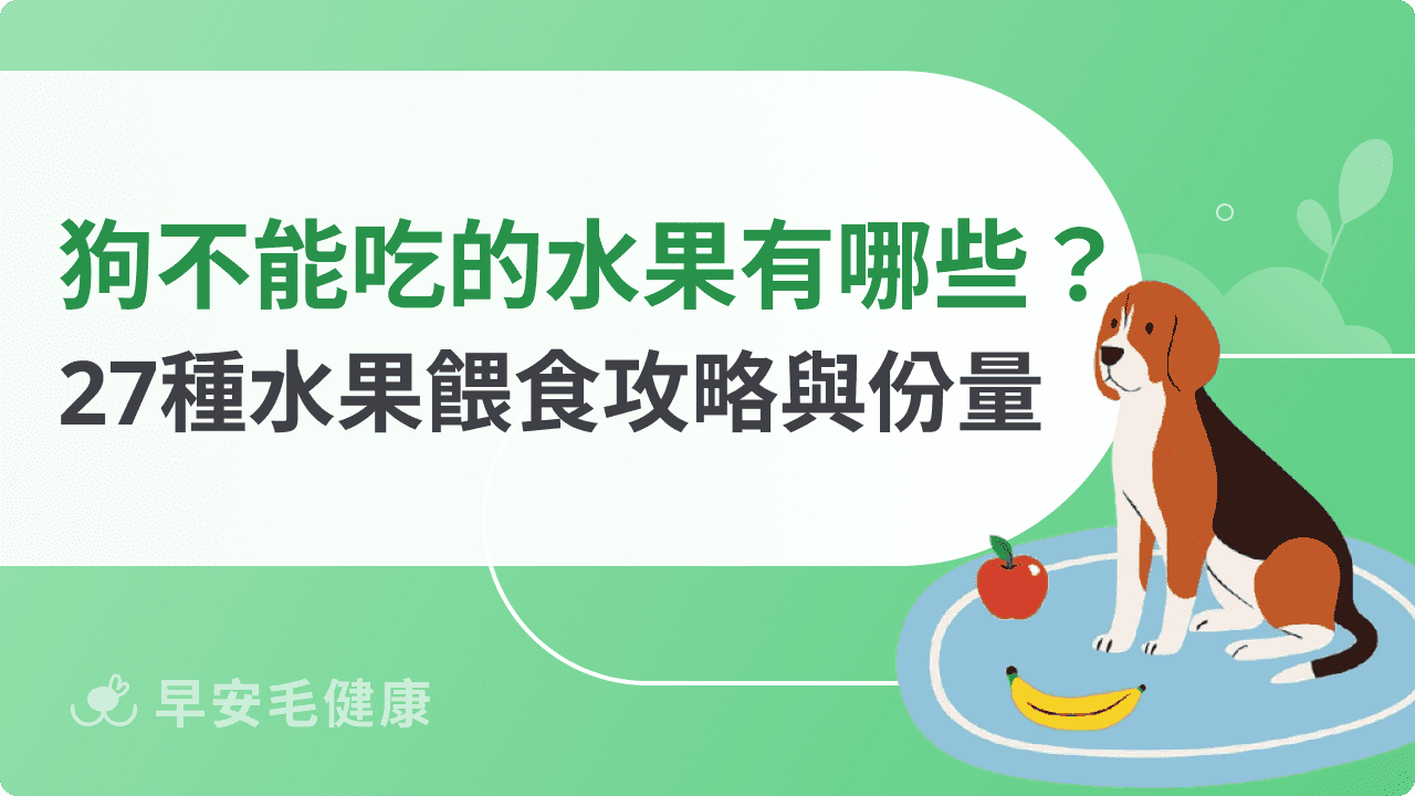 狗狗不能吃的水果有哪些?27種安心與禁忌水果清單