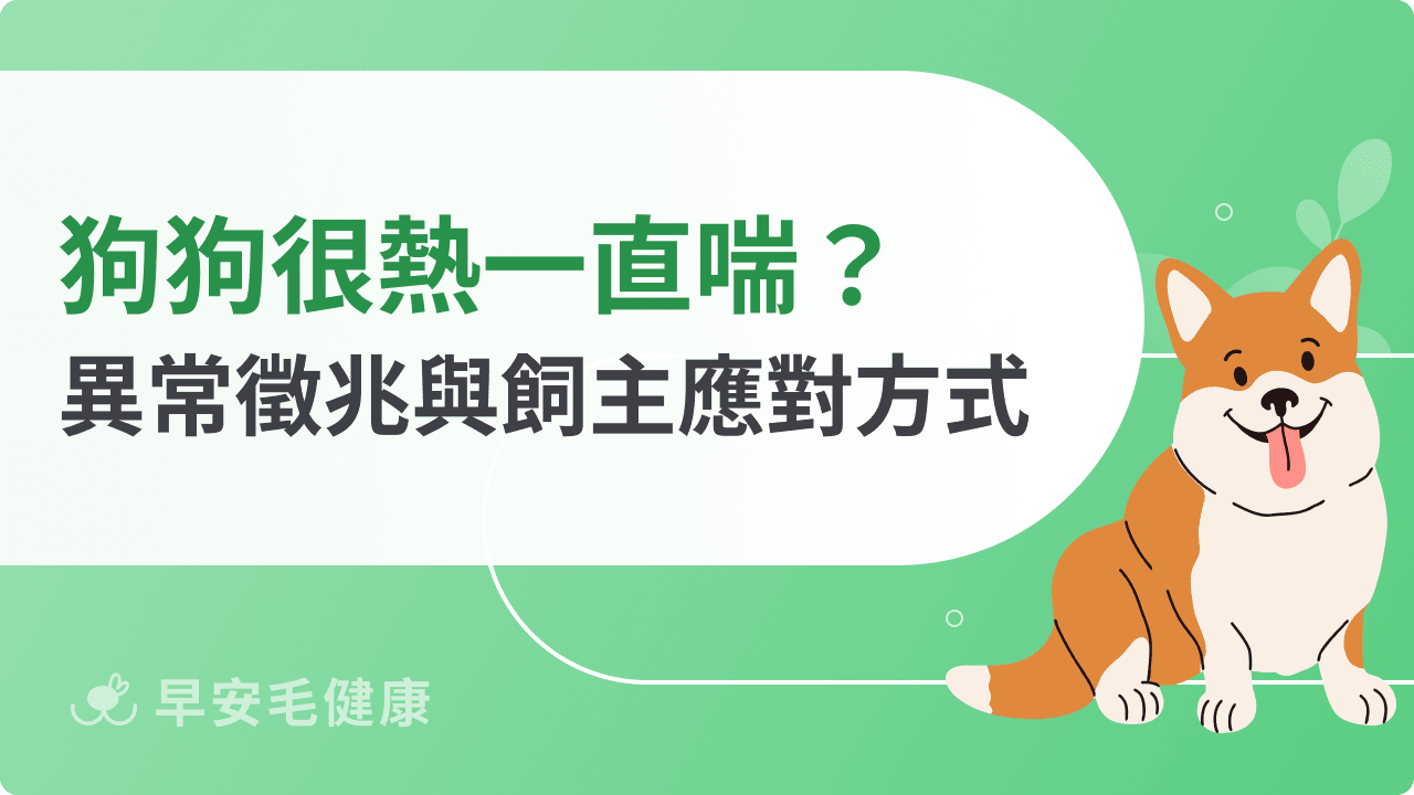 狗狗很熱一直喘是中暑嗎？要如何幫助舒緩？飼主必看應對方式！