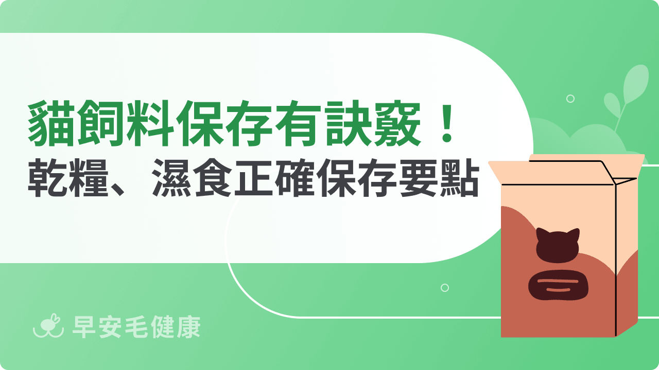 貓飼料保存有訣竅！乾糧、濕食正確保存要點一次看