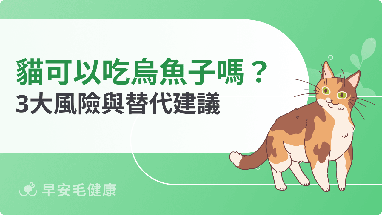 貓可以吃烏魚子嗎？會傷腎嗎？風險、禁忌與替代食材建議