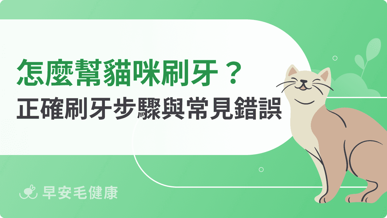 怎麼幫貓咪刷牙?從零開始的減壓教學,獸醫認證7步驟全攻略