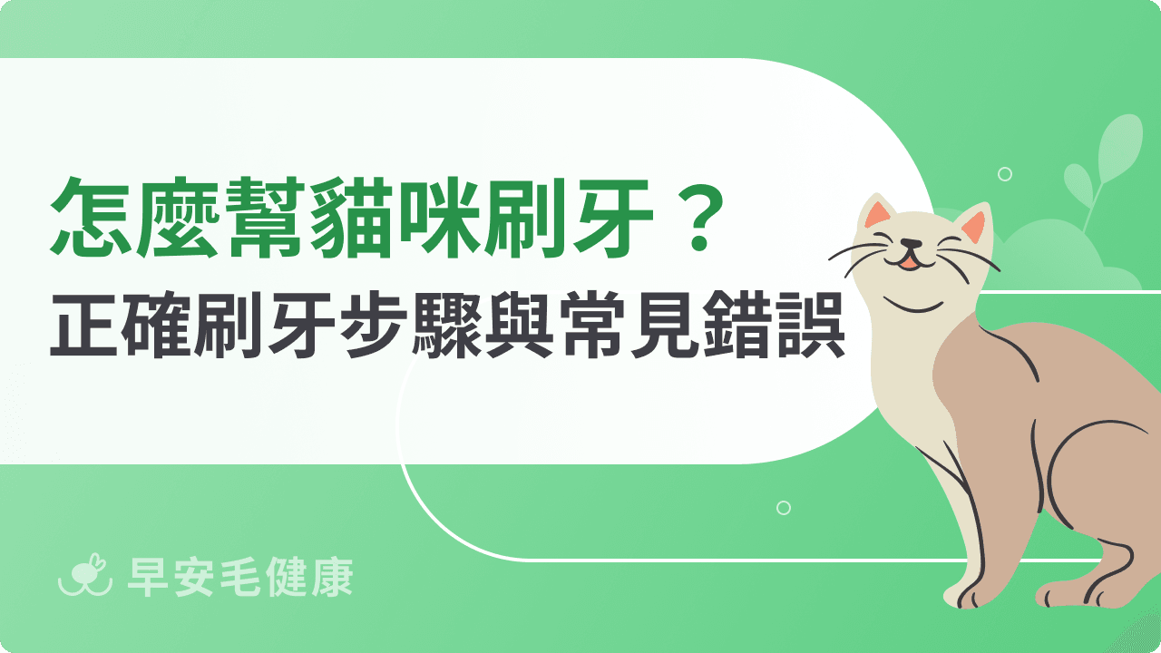 怎麼幫貓咪刷牙？從零開始的減壓教學，獸醫認證7步驟全攻略