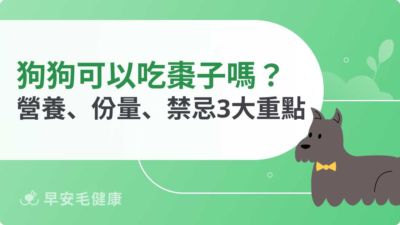 狗狗可以吃棗子嗎？營養價值、適合份量、餵食禁忌總整理