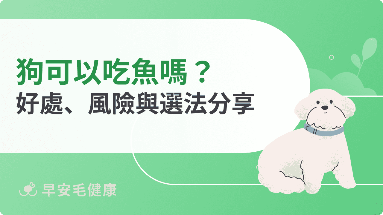 狗可以吃魚嗎？營養好處與注意事項總整理