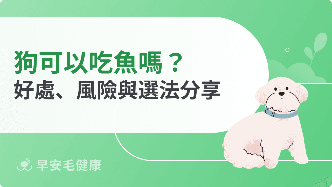 狗可以吃魚嗎？營養好處與注意事項總整理