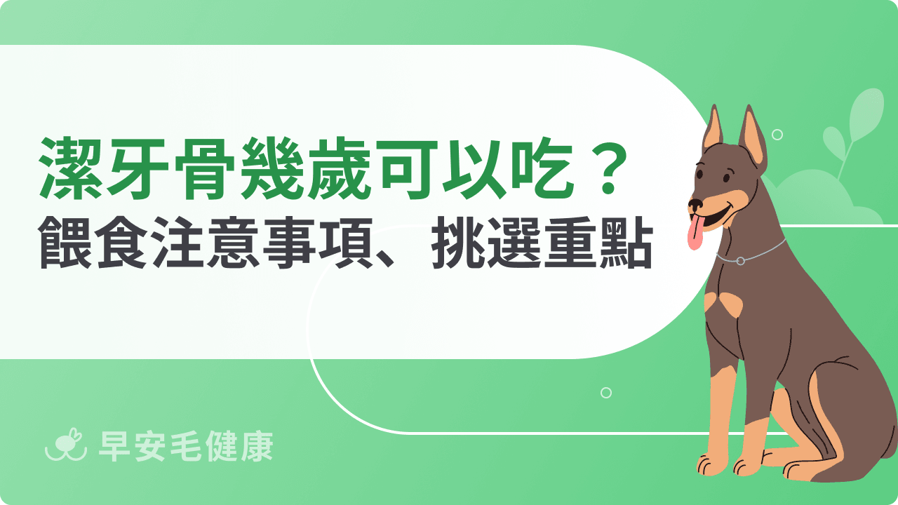 潔牙骨幾歲可以吃？多久吃一次？餵食注意事項﻿、挑選重點整理