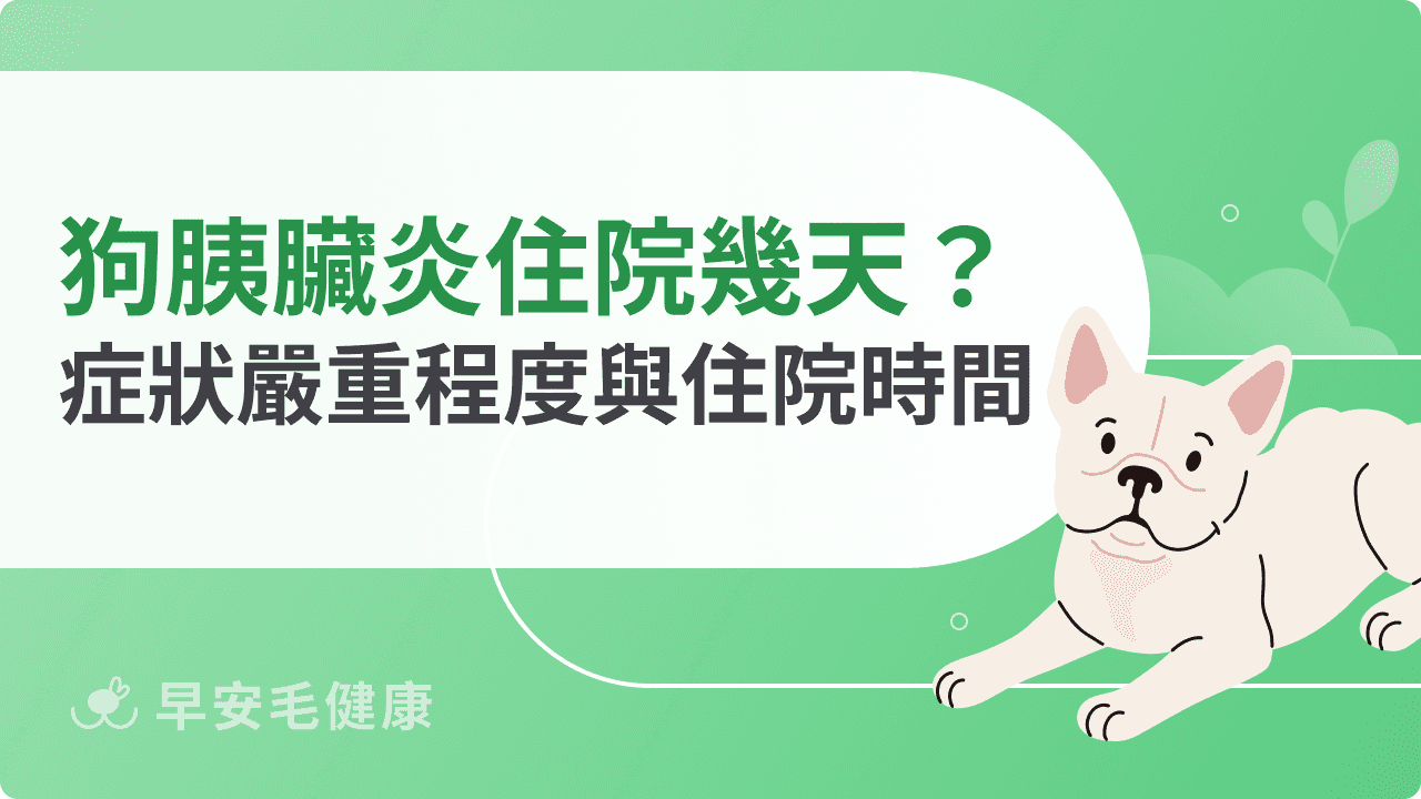 狗狗胰臟炎要住院幾天？症狀嚴重程度與住院時間關係解析