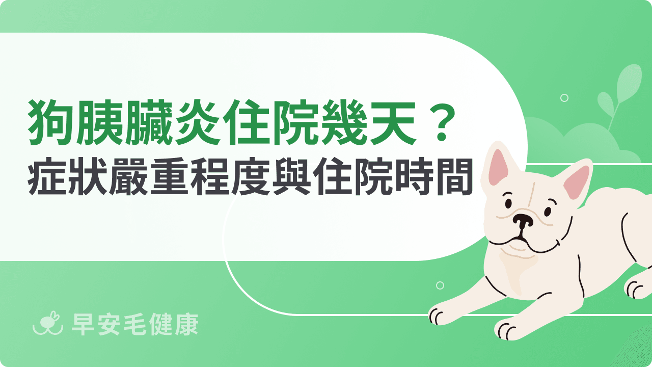 狗狗胰臟炎要住院幾天？症狀嚴重程度與住院時間關係解析