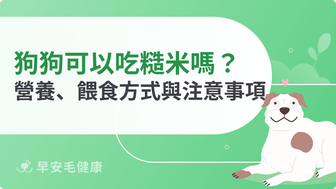 狗狗可以吃糙米嗎？營養成分、餵食方式與注意事項