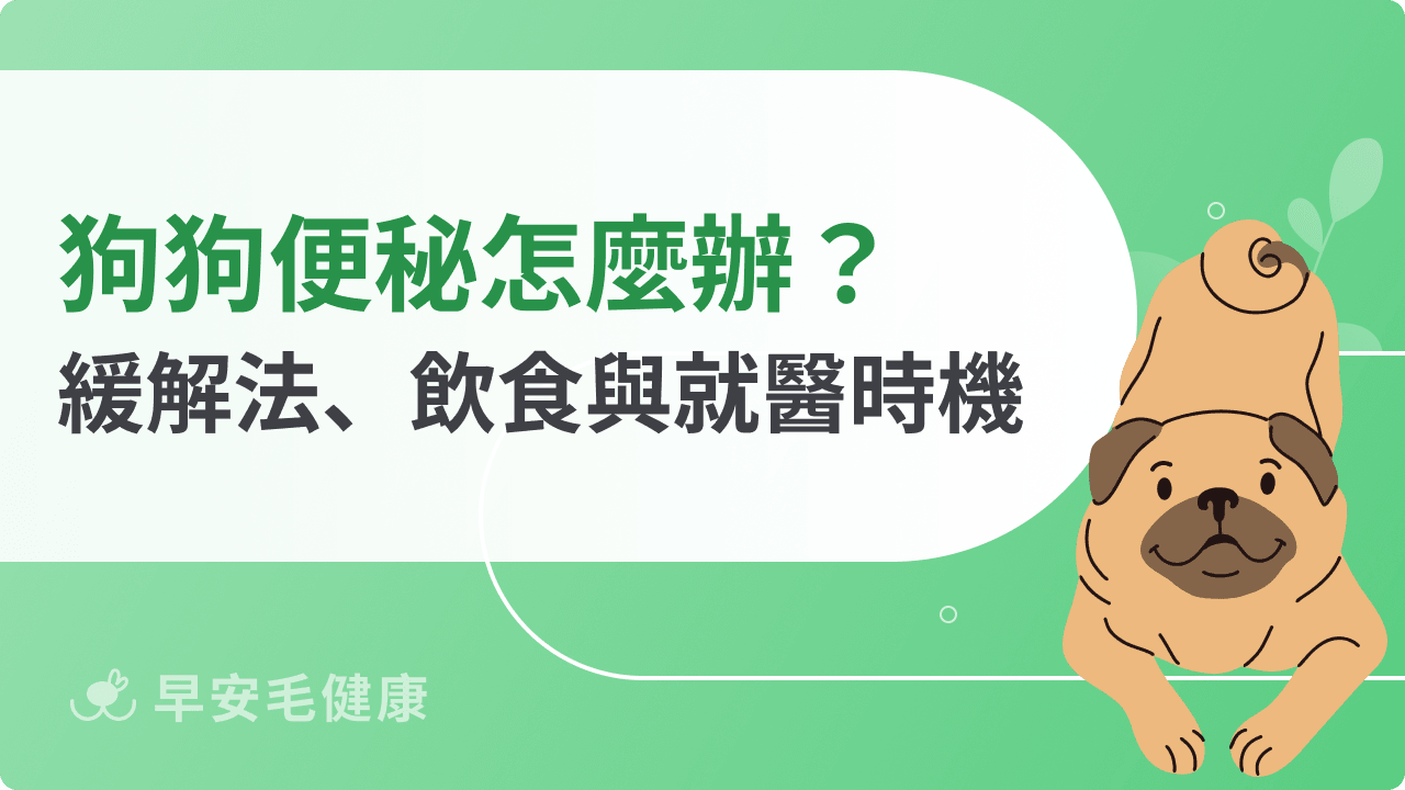 狗狗便秘怎麼辦？緩解方法、飲食調整與就醫時機全解析
