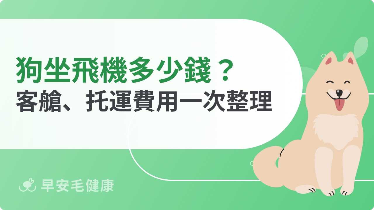 狗坐飛機多少錢？航空公司費用、運輸方式與注意事項