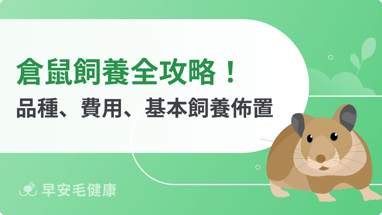 倉鼠飼養全攻略：品種壽命、個性特徵、飼養環境與健康照護