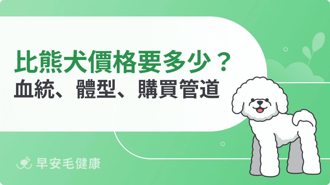 比熊價格行情解密！購買前必知3大影響因素與管道價差！