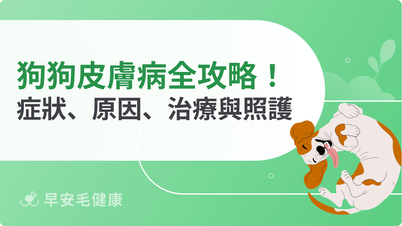 狗狗皮膚病長膿包、紅疹、結痂？9 大疾病種類與治療費用全指南！