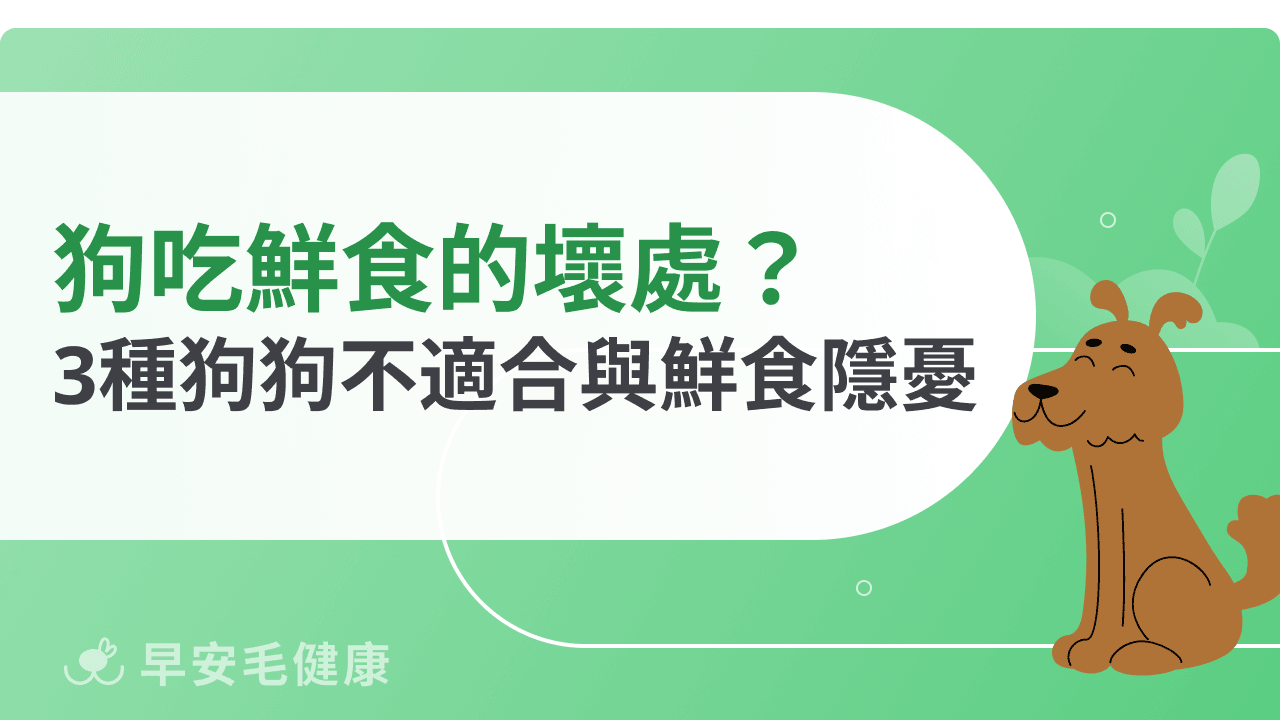 鮮食的壞處完整說明：不是每隻狗狗都適合這種吃法？