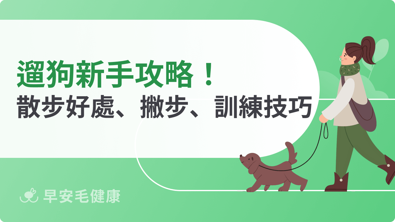 遛狗要注意什麼?狗狗散步時間、撇步與訓練技巧(新手教學)