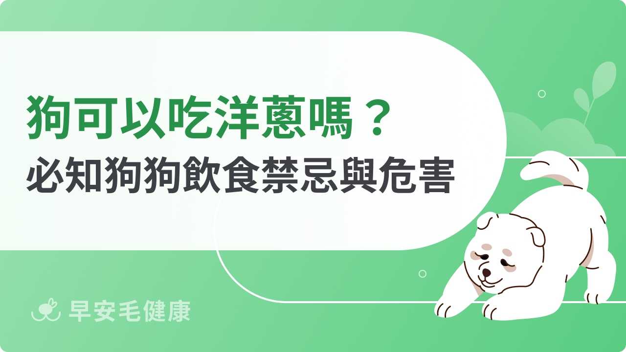 狗可以吃洋蔥嗎?狗狗誤食洋蔥的處置與急救指南!