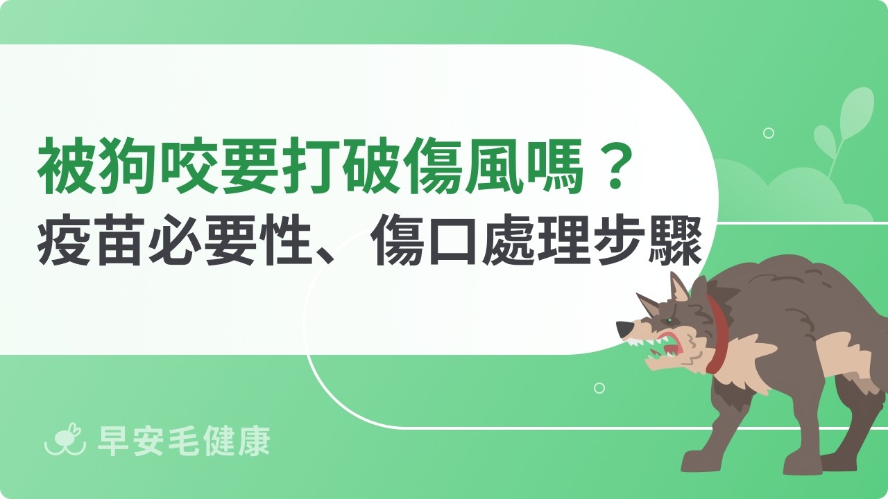 被狗咬一定要打破傷風嗎？判斷疫苗時機、3步驟傷口處理！