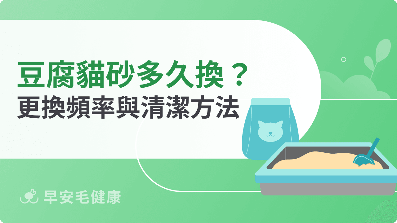 豆腐貓砂多久換一次？正確更換頻率與清潔方法懶人包