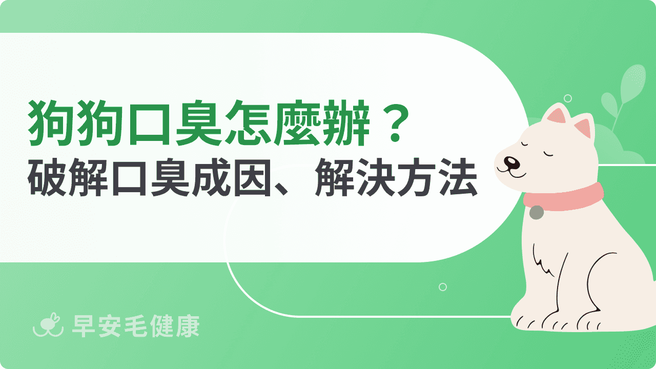 狗狗口臭怎麼辦？搞懂口臭成因、解決方法，維持毛孩清新好口氣