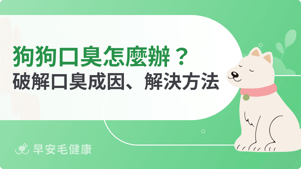 狗狗口臭怎麼辦？搞懂口臭成因、解決方法，維持毛孩清新好口氣