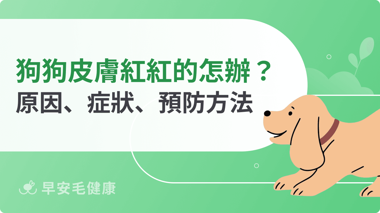 狗狗皮膚紅紅的怎麼辦？原因、症狀、預防方法