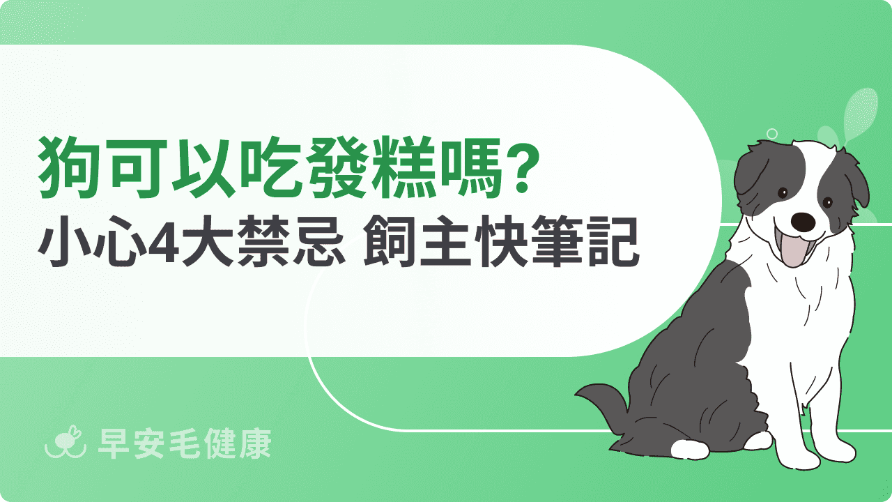 狗可以吃發糕嗎？過年點心陷阱，飼主必看！